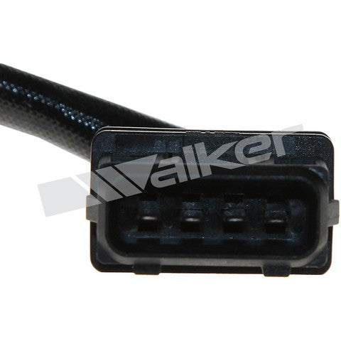 https://www.ShowMeThePartsdb.com/bin/images/WalkerProducts/250-24415_4.JPG