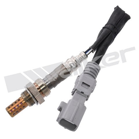 Walker Products Oxygen Sensor  250-24420