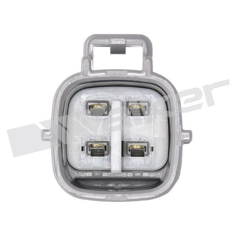 https://www.ShowMeThePartsdb.com/bin/images/WalkerProducts/250-24420_3.jpg
