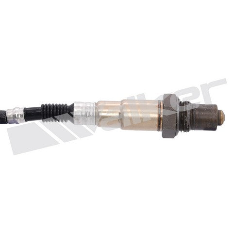 Walker Products Oxygen Sensor  250-24428