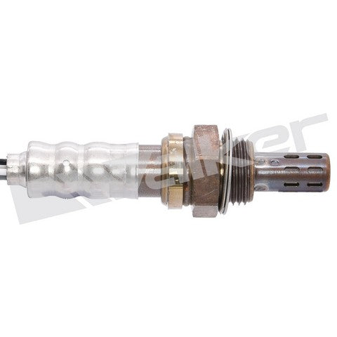 Walker Products Oxygen Sensor  250-24429