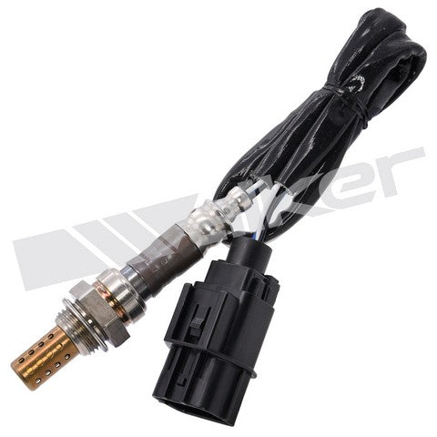 Walker Products Oxygen Sensor  250-24436
