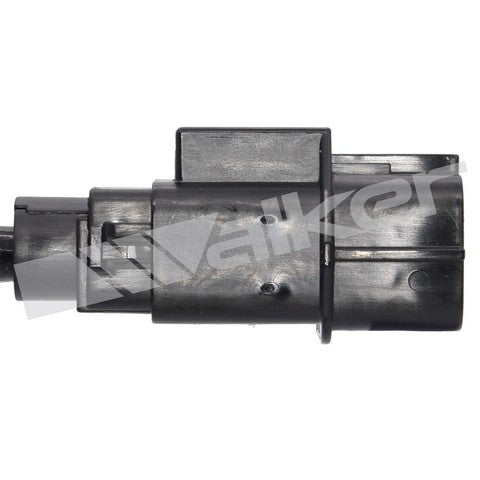 Walker Products Oxygen Sensor  250-24436