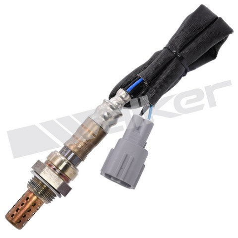 Walker Products Oxygen Sensor  250-24440