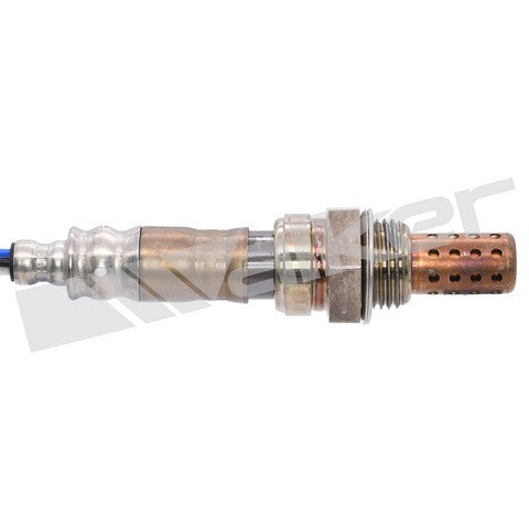 Walker Products Oxygen Sensor  250-24440