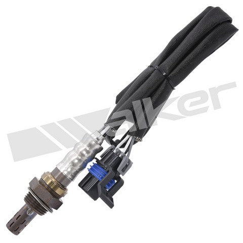 Walker Products Oxygen Sensor  250-24443