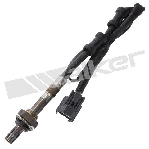Walker Products Oxygen Sensor  250-24446