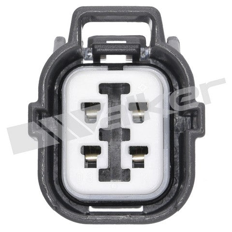 https://www.ShowMeThePartsdb.com/bin/images/WalkerProducts/250-24446_3.jpg