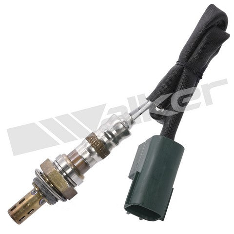Walker Products Oxygen Sensor  250-24448