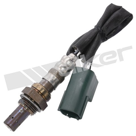 Walker Products Oxygen Sensor  250-24452