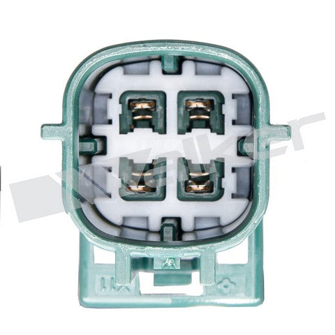https://www.ShowMeThePartsdb.com/bin/images/WalkerProducts/250-24453_3.JPG