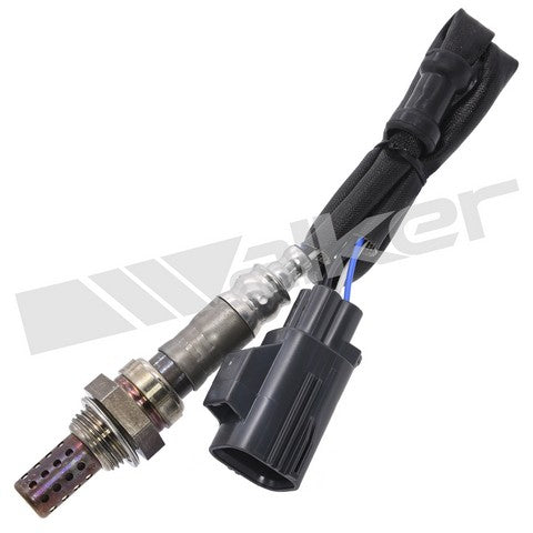 Walker Products Oxygen Sensor  250-24455