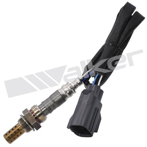 Walker Products Oxygen Sensor  250-24482