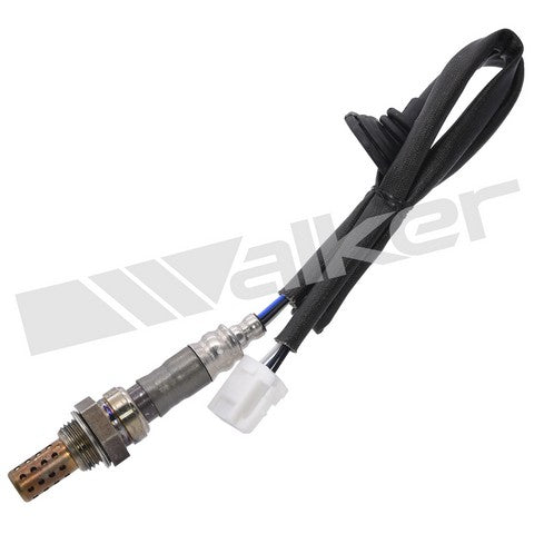 Walker Products Oxygen Sensor  250-24484