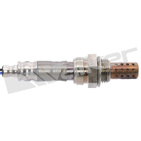 Walker Products Oxygen Sensor  250-24486