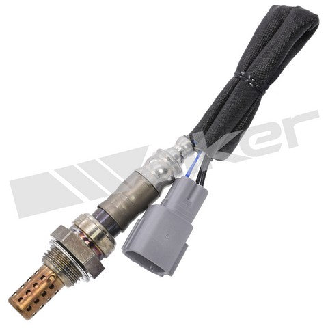Walker Products Oxygen Sensor  250-24487