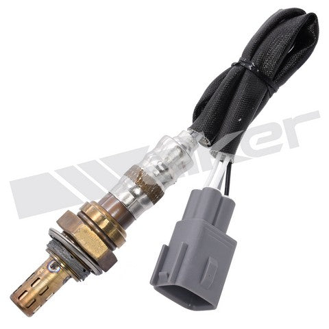 Walker Products Oxygen Sensor  250-24489