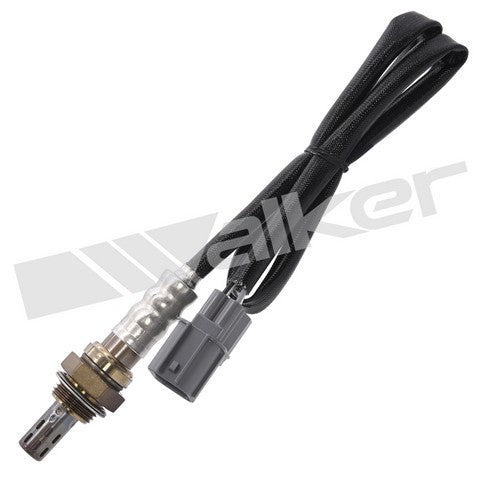 Walker Products Oxygen Sensor  250-24498