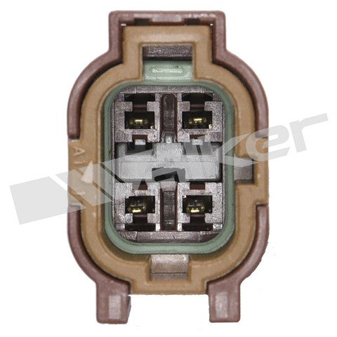 https://www.ShowMeThePartsdb.com/bin/images/WalkerProducts/250-24499_3.jpg