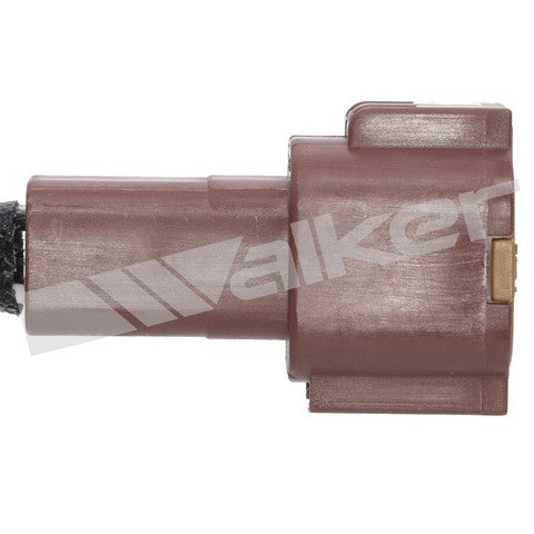 Walker Products Oxygen Sensor  250-24499