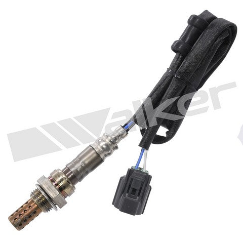 Walker Products Oxygen Sensor  250-24601
