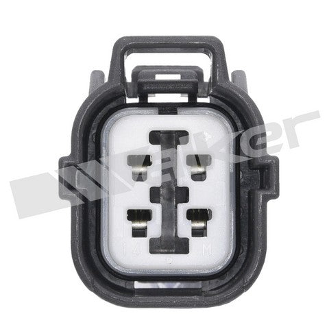 https://www.ShowMeThePartsdb.com/bin/images/WalkerProducts/250-24601_3.jpg
