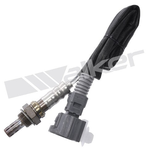 Walker Products Oxygen Sensor  250-24644