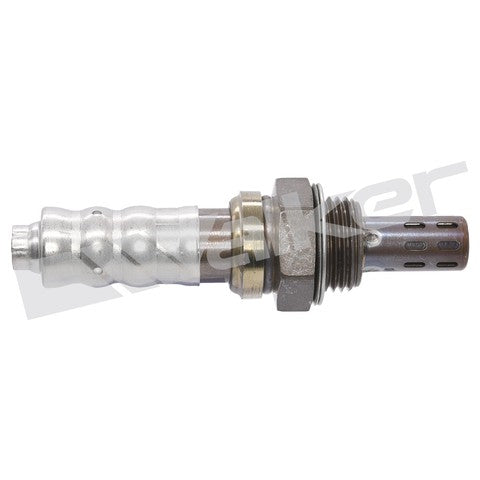 Walker Products Oxygen Sensor  250-24644