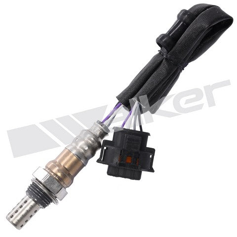Walker Products Oxygen Sensor  250-24682