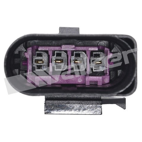 https://www.ShowMeThePartsdb.com/bin/images/WalkerProducts/250-24753_3.jpg