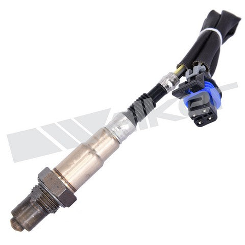 Walker Products Oxygen Sensor  250-24773