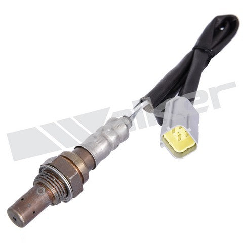 Walker Products Oxygen Sensor  250-24794