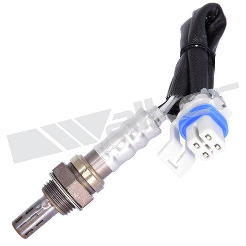 Walker Products Oxygen Sensor  250-24836