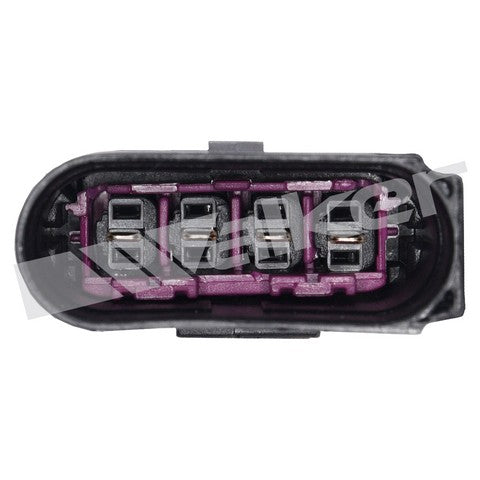 https://www.ShowMeThePartsdb.com/bin/images/WalkerProducts/250-24843_3.jpg