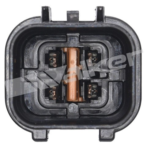 https://www.ShowMeThePartsdb.com/bin/images/WalkerProducts/250-24916_3.jpg