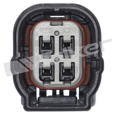 https://www.ShowMeThePartsdb.com/bin/images/WalkerProducts/250-24917_3.jpg