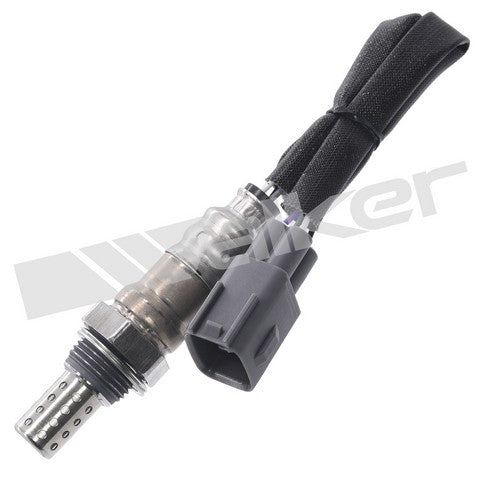 Walker Products Oxygen Sensor  250-24924