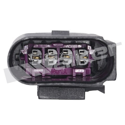 https://www.ShowMeThePartsdb.com/bin/images/WalkerProducts/250-24954_3.jpg