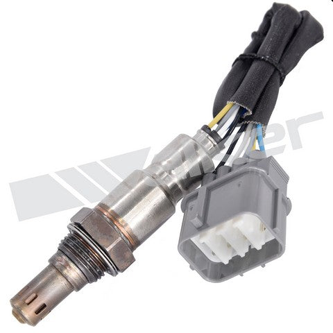 Walker Products Oxygen Sensor  250-25001
