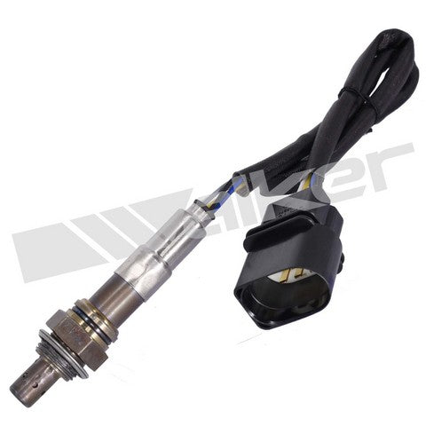 Walker Products Oxygen Sensor  250-25012