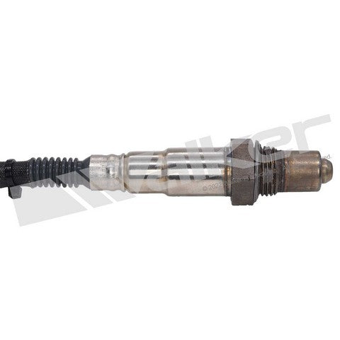 Walker Products Oxygen Sensor  250-25031