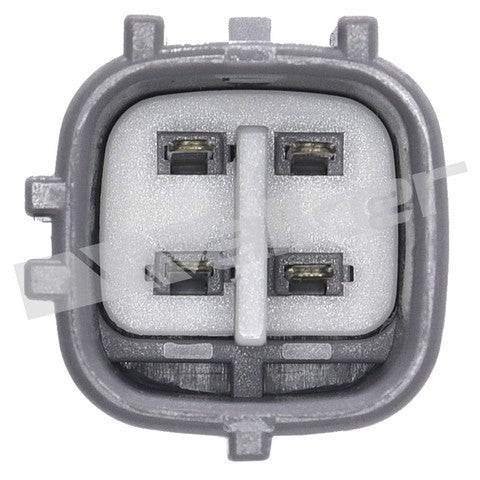 https://www.ShowMeThePartsdb.com/bin/images/WalkerProducts/250-54002_3.jpg