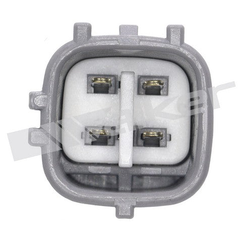 https://www.ShowMeThePartsdb.com/bin/images/WalkerProducts/250-54069_3.jpg