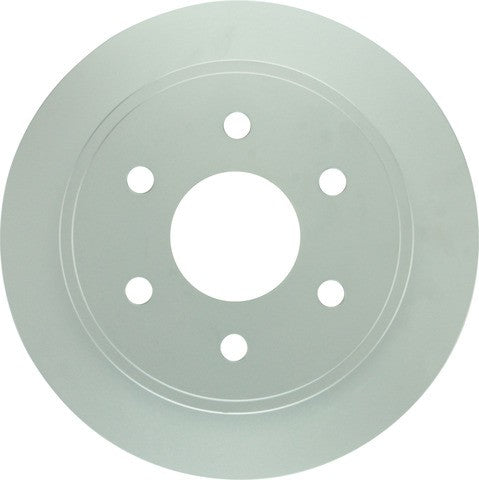 Bosch Disc Brake Rotor  25010643