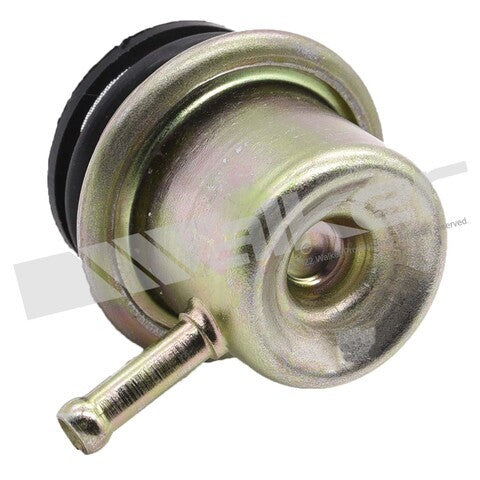 https://www.ShowMeThePartsdb.com/bin/images/WalkerProducts/255-1100_3.jpg