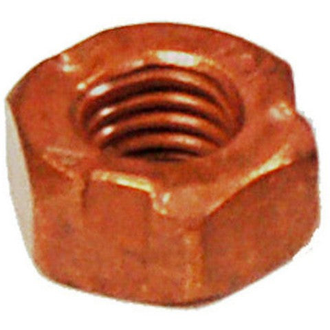BRExhaust Exhaust Nut  258-030