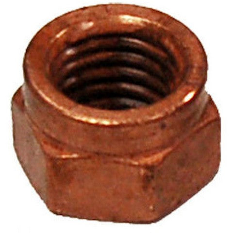 BRExhaust Exhaust Nut  258-050