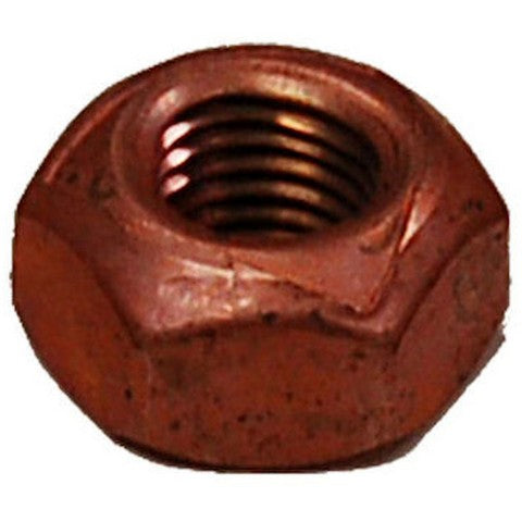 BRExhaust Exhaust Nut  258-056