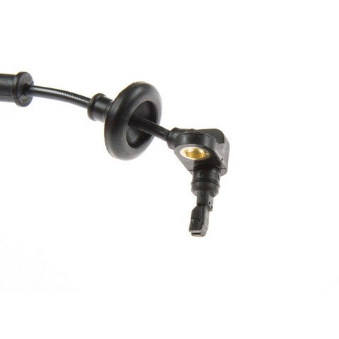 https://www.ShowMeThePartsdb.com/bin/images/HolsteinParts/2ABS0436_02.jpg