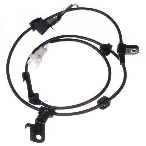 HOLSTEIN   2ABS0616